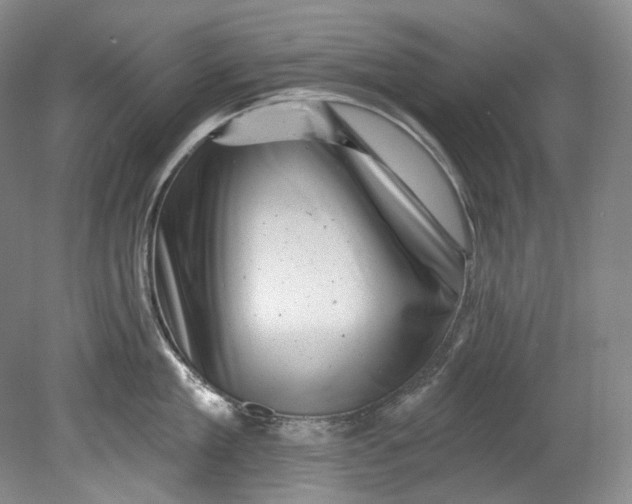 X0000080740909200701021143