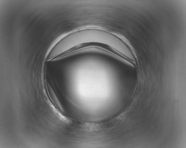 X0000080740910200701021143