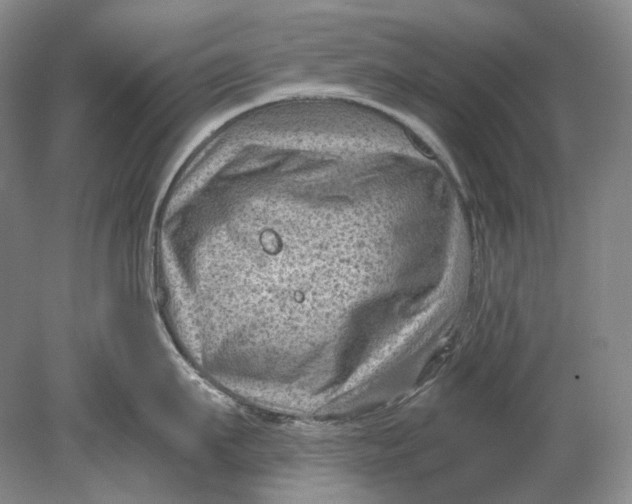 X0000080740911200701021143