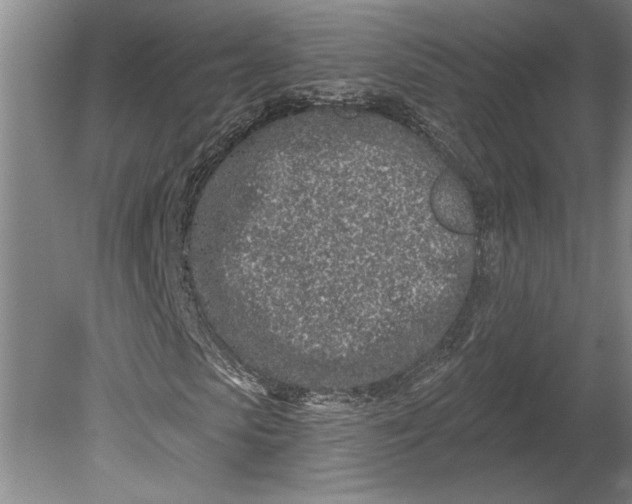 X0000080740913200701021142