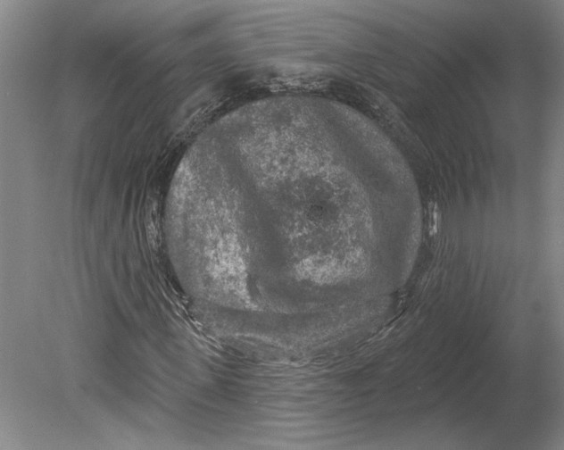 X0000080740915200701021142