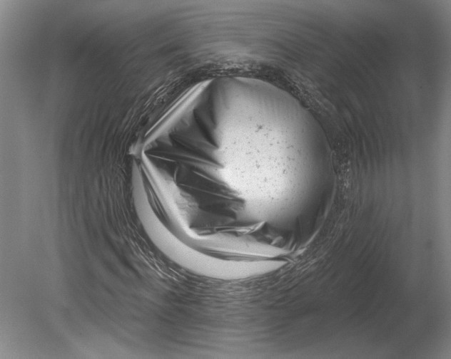 X0000080740916200701021142