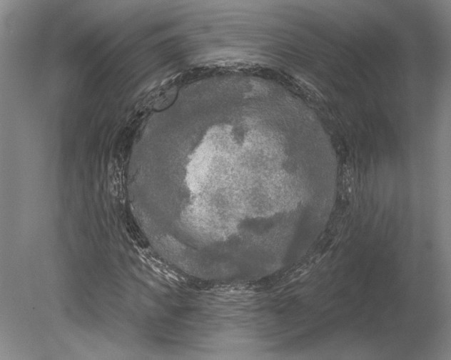 X0000080740917200701021143