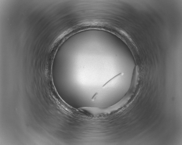 X0000080740922200701021143