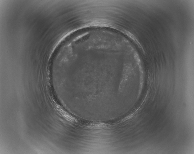 X0000080740926200701021143