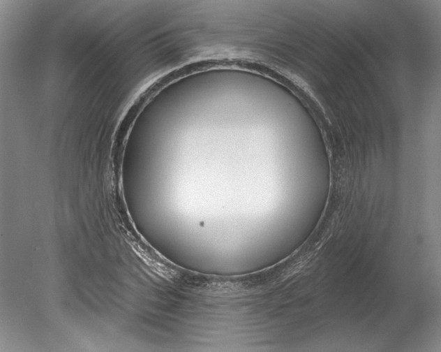 X0000080740927200701021143