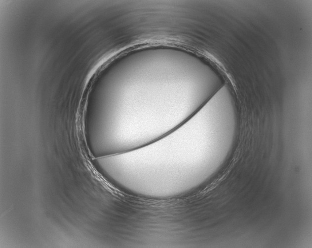 X0000080740928200701021143