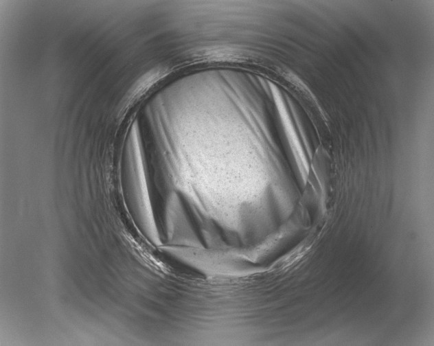 X0000080740930200701021143