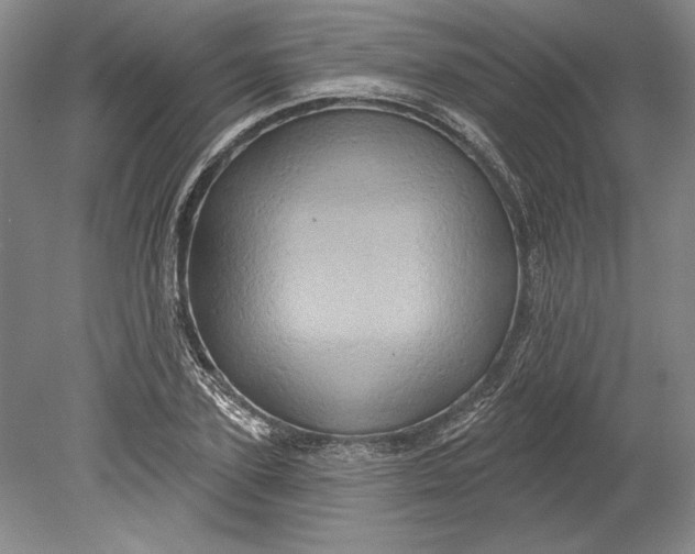 X0000080740931200701021143