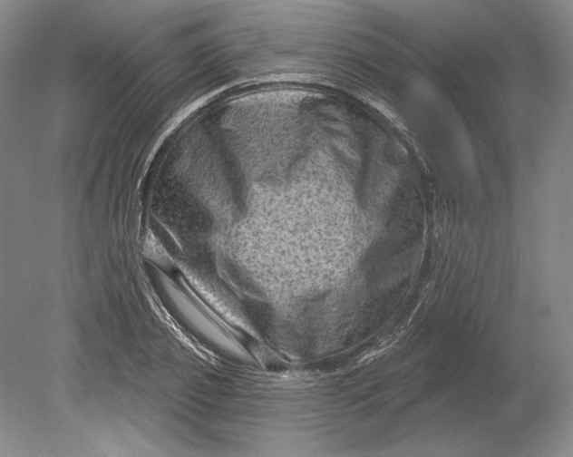 X0000080740933200701021143