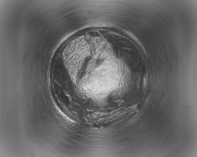 X0000080740935200701021143