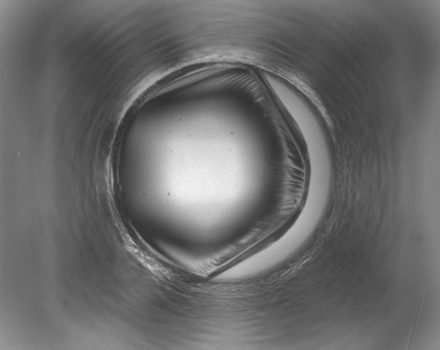 X0000080740936200701021143