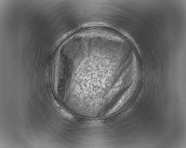 X0000080740937200701021143