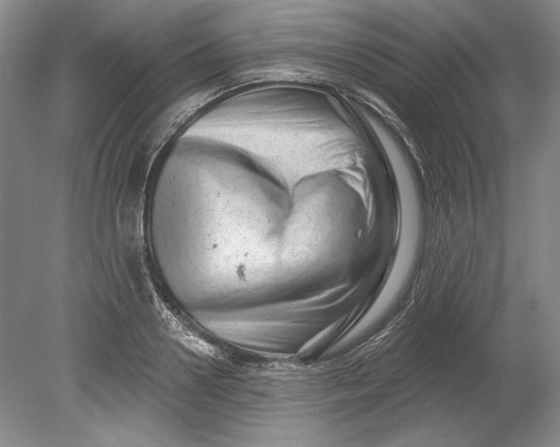 X0000080740938200701021143