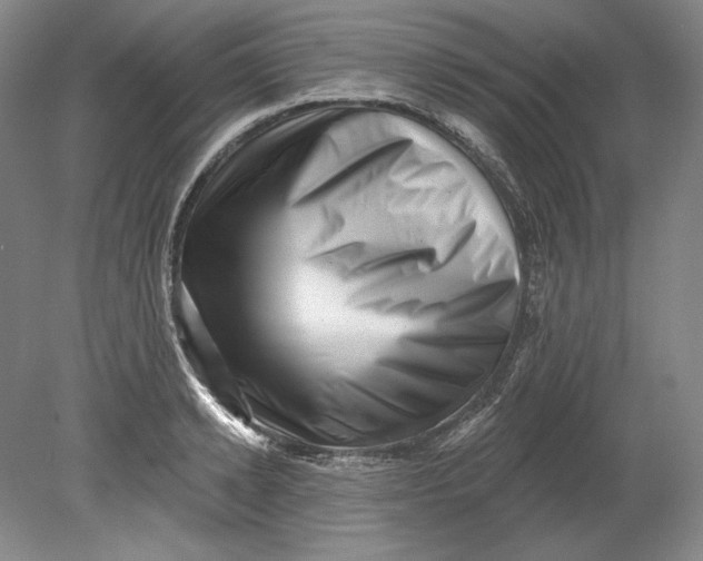 X0000080740942200701021143