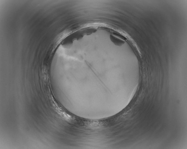 X0000080740945200701021143