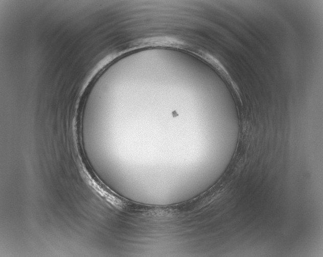 X0000080740947200701021143