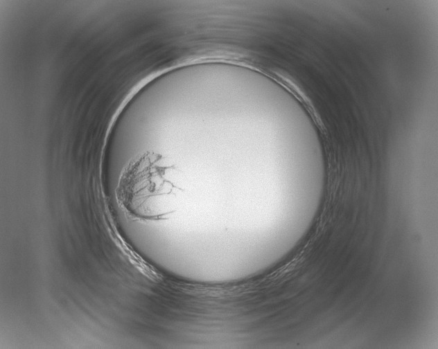 X0000080740948200701021143