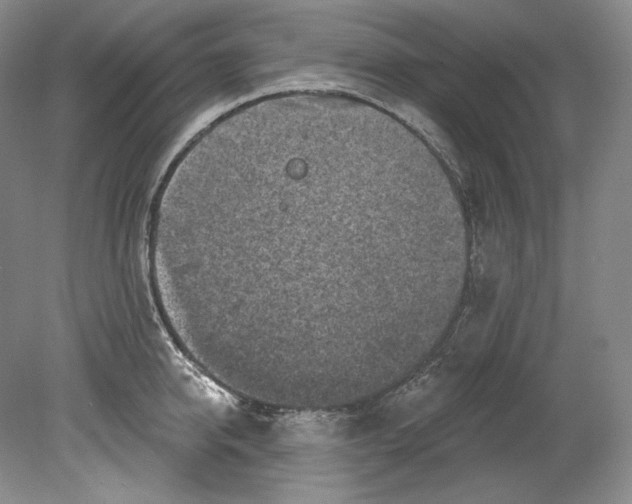 X0000080740950200701021143