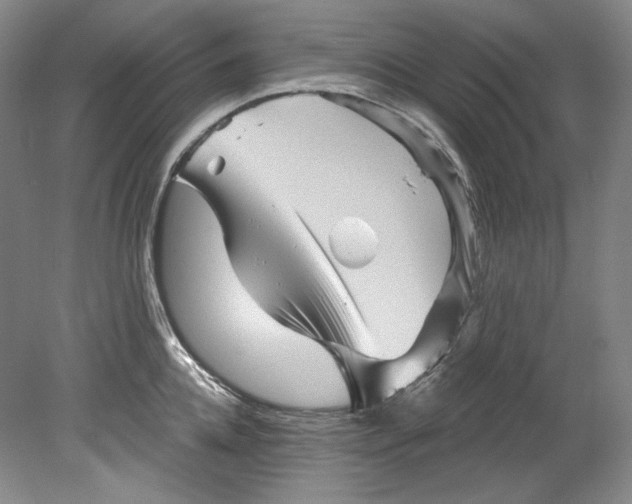 X0000080740952200701021143