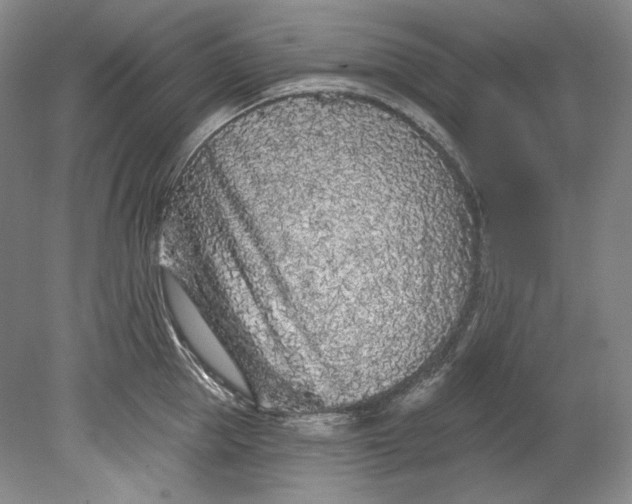 X0000080740953200701021143