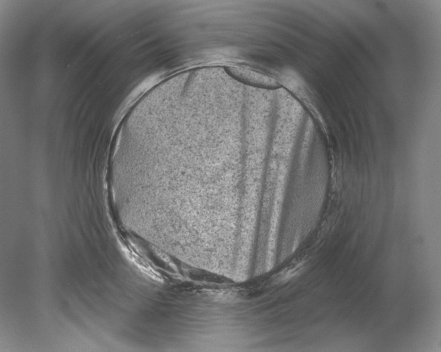 X0000080740954200701021143