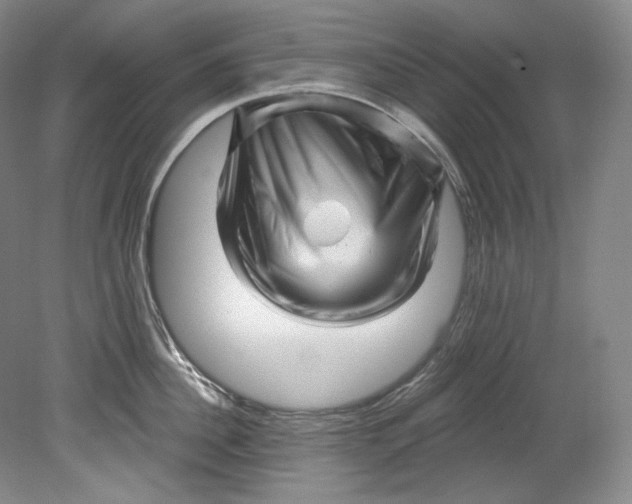 X0000080740956200701021143