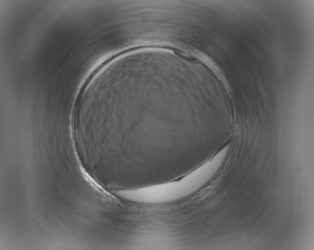 X0000080740958200701021143