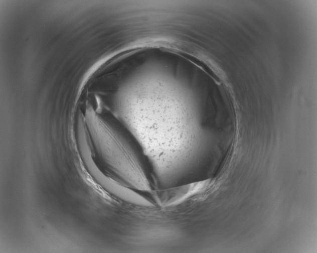 X0000080740960200701021143