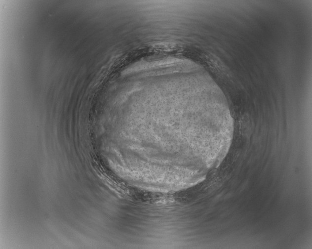 X0000080740961200701021142