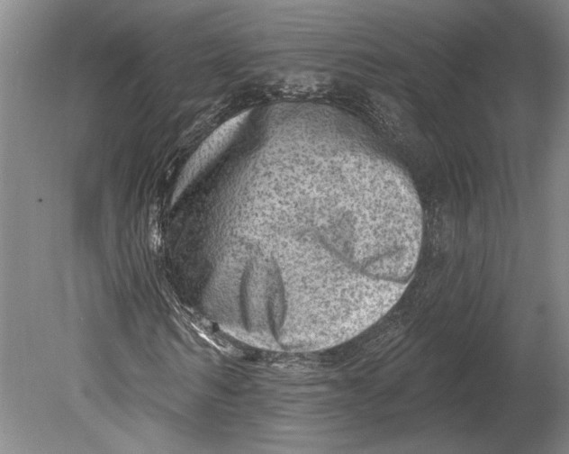 X0000080740962200701021142