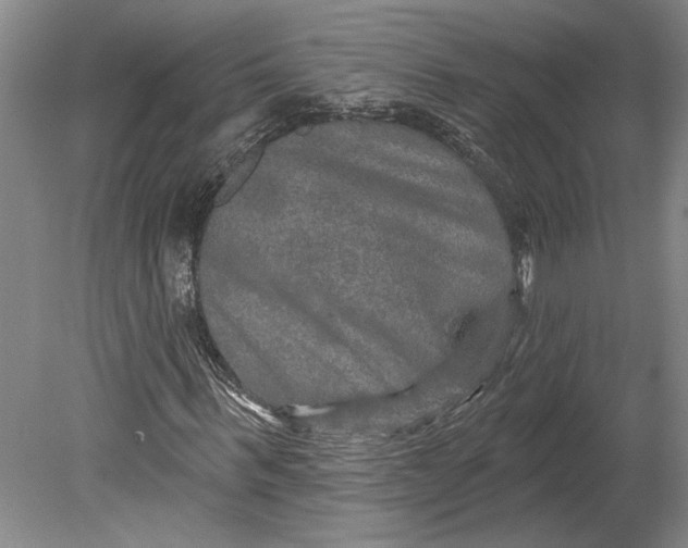 X0000080740963200701021142