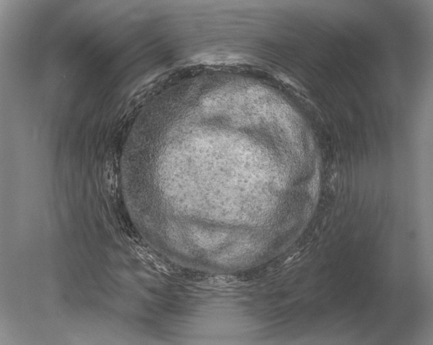 X0000080740966200701021142