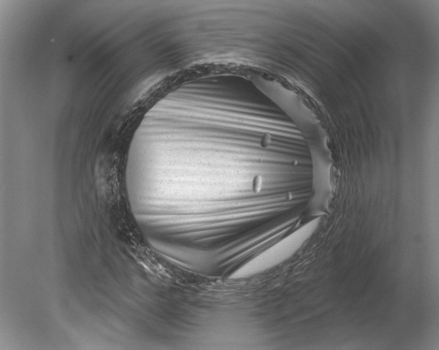 X0000080740968200701021142