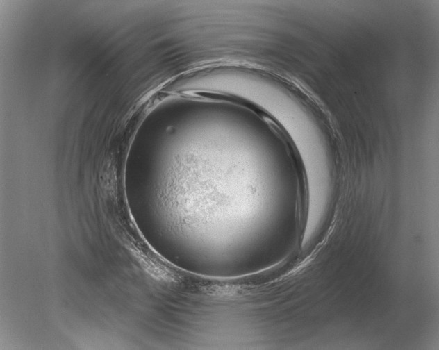 X0000080740969200701021142