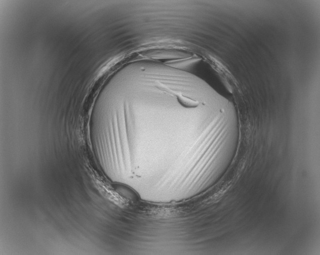 X0000080740970200701021142