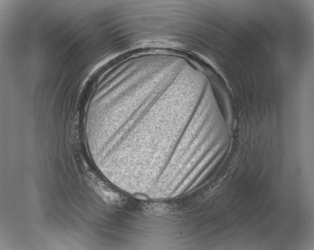 X0000080740971200701021142