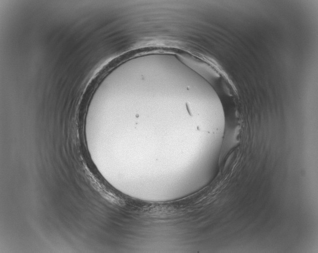 X0000080740972200701021142