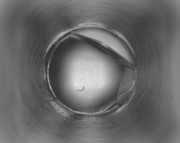 X0000080740973200701021142