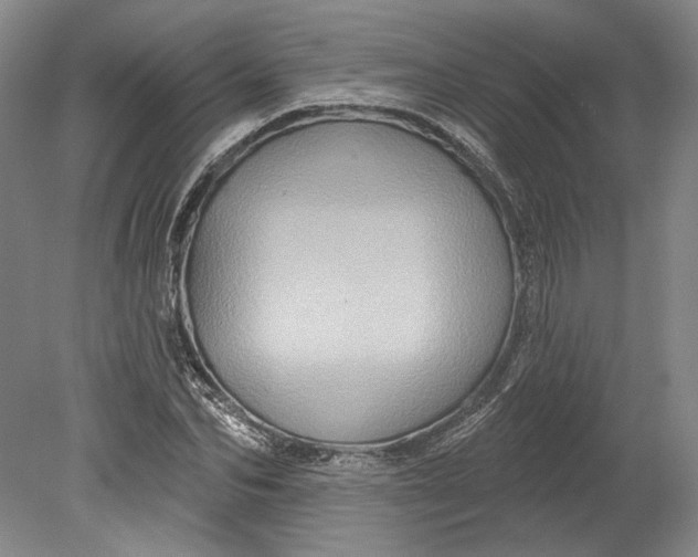 X0000080740974200701021142