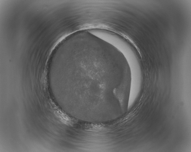 X0000080740975200701021142