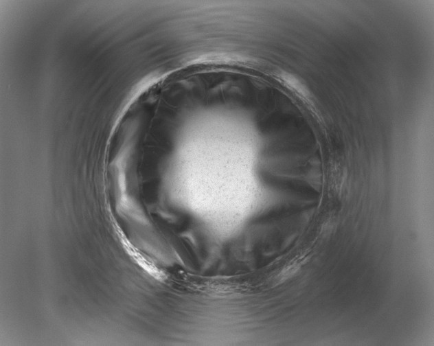 X0000080740976200701021142