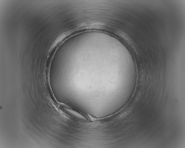 X0000080740978200701021142