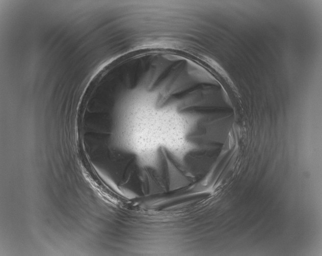 X0000080740980200701021142