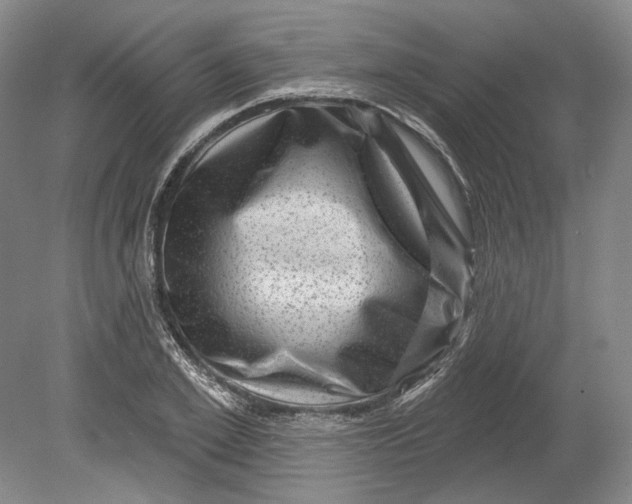 X0000080740981200701021142