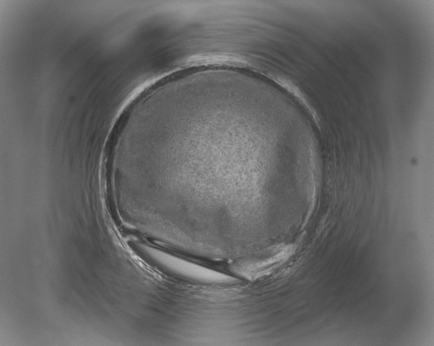 X0000080740983200701021142