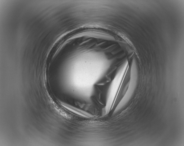 X0000080740984200701021142