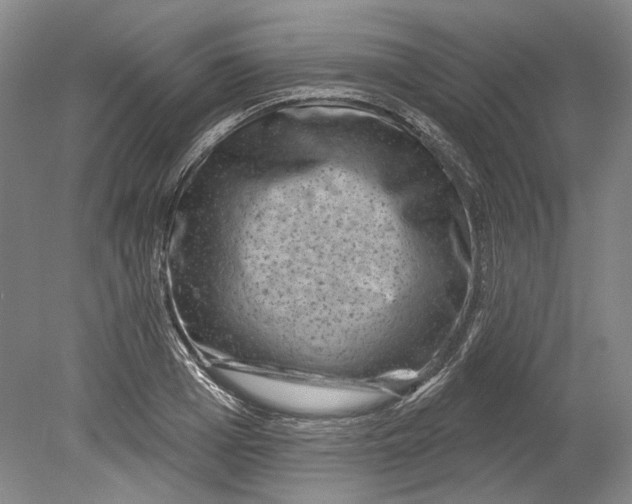 X0000080740985200701021142