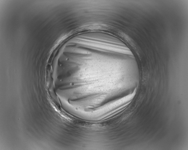 X0000080740986200701021142