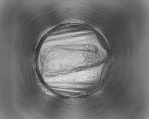 X0000080740987200701021142